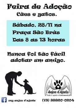 panfleto Feira de adoo Ces e Gatos