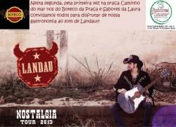 panfleto Landau