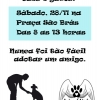 panfleto Feira de adoo Ces e Gatos