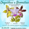panfleto 20 Exposio de Orqudeas e Bromlias da Costa do Descobrimento 