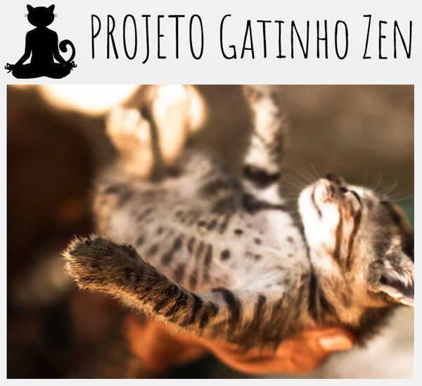 Projeto Gatinho Zen